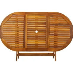 vidaXL - Tuintafel En Stoel - Bruin - Hout