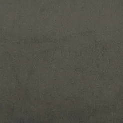 vidaXL - Tweepersoonsbed - Donkergrijs - Fluweel - 160x200 cm