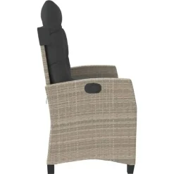 vidaXL - Verstelbare loungebank met kussens - Lichtgrijs rattan - 105x66x93 cm