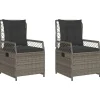 vidaXL - Verstelbare tuinstoelen - Grijs - Poly rattan - 2 stuks