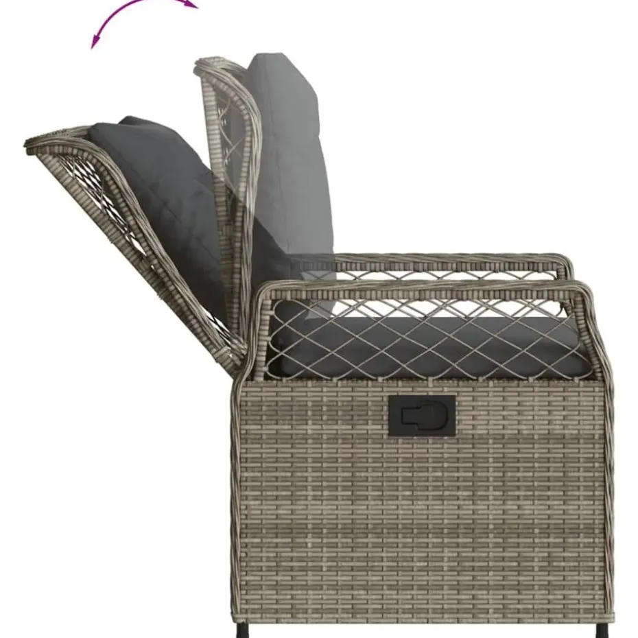 vidaXL - Verstelbare tuinstoelen - Grijs - Poly rattan - 2 stuks