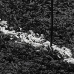 vidaXL - Vloerkleed - Zwart en crème - 100 x 200 cm