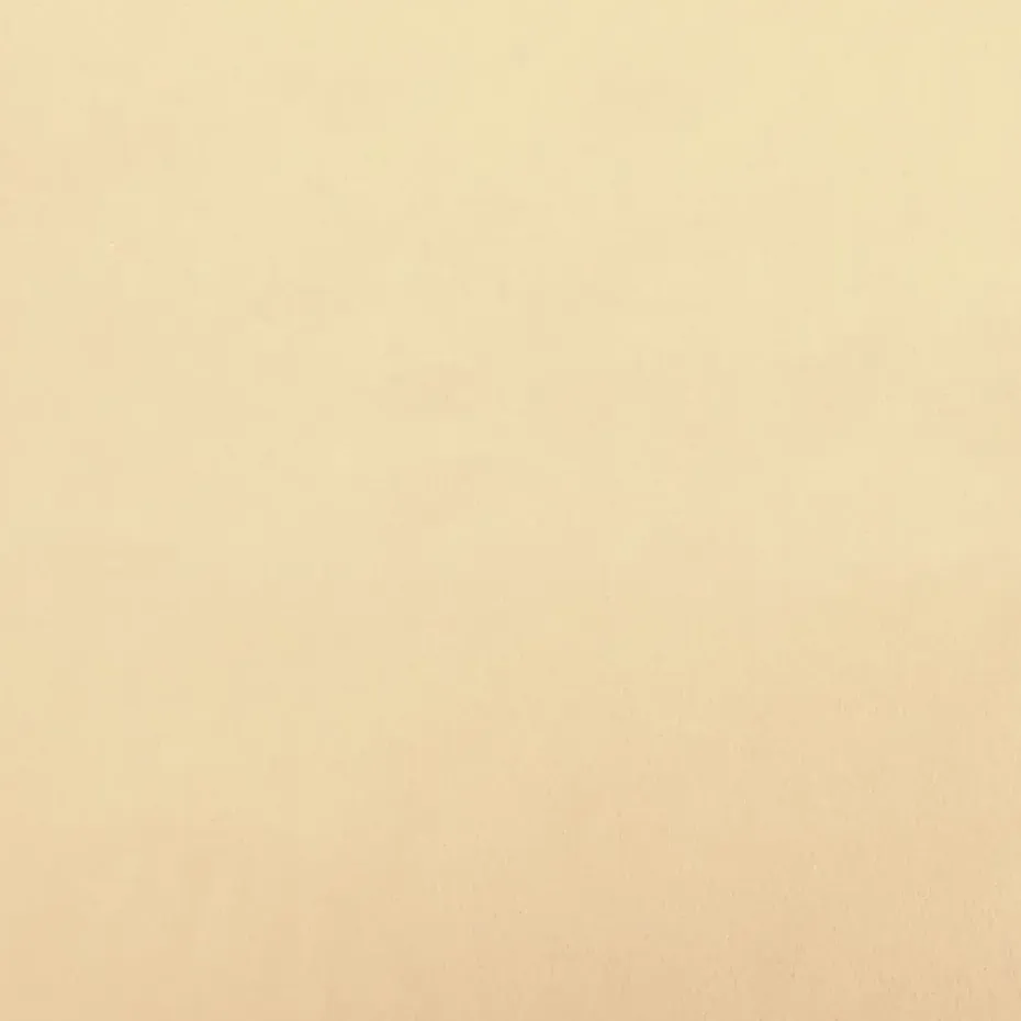 vidaXL - Voetenbank - Crème - Fluweel