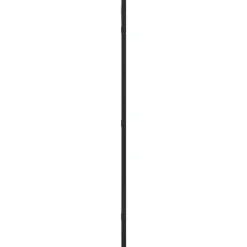 vidaXL - Wandspiegel - Zwart - IJzer - 40 x 80 cm