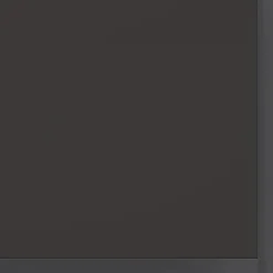 vidaXL - Wandtafel - Zwart - Glas