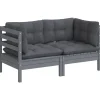 vidaXL - 2-zitsbank - Grijs - Grenenhout
