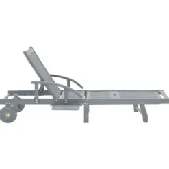 vidaXL - Zonnebed - Grijs - Hout