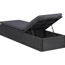 vidaXL - Zonnebed - Zwart - Poly rattan