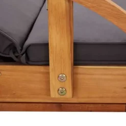 vidaXL - Zonnestoel - Bruin - Acaciahout