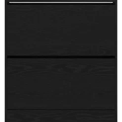 vidaXL - Zwart Schoenenkast met 2 vakken - Bewerkt hout - 80x21x87.5 cm