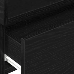 vidaXL - Zwevend Nachtkastjes met lade - Zwart - 45x26x28.5 cm - Set van 2