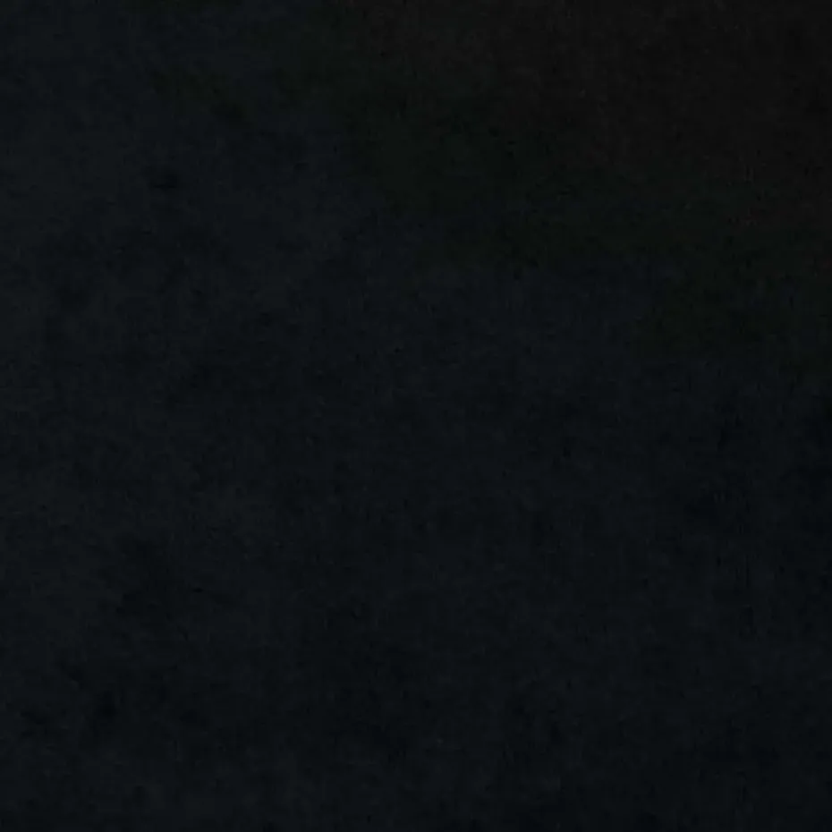 vidaXL Gordijnen met lussen - Verduisterend - Zwart Fluweel - 140x225 cm - 2 St.