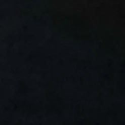 vidaXL Gordijnen met lussen - Verduisterend - Zwart Fluweel - 140x175 cm - 2 St.