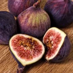 Vijgenboom - Set van 2 - Ficus Carica - Hoogte 70-90cm - ⌀21cm