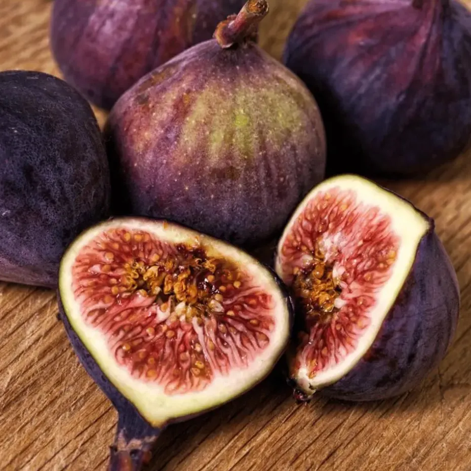 Vijgenboom - Set van 2 - Ficus Carica - Hoogte 70-90cm - ⌀21cm