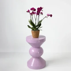 Vlinderorchidee - Phalaenopsis Multiflora met mand - Hoogte 35-45cm - ⌀12cm