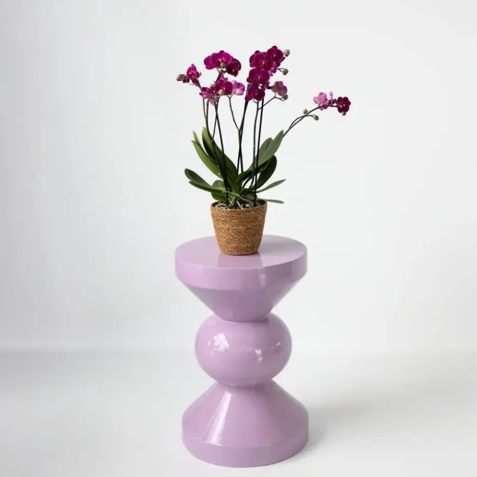 Vlinderorchidee - Phalaenopsis Multiflora met mand - Hoogte 35-45cm - ⌀12cm