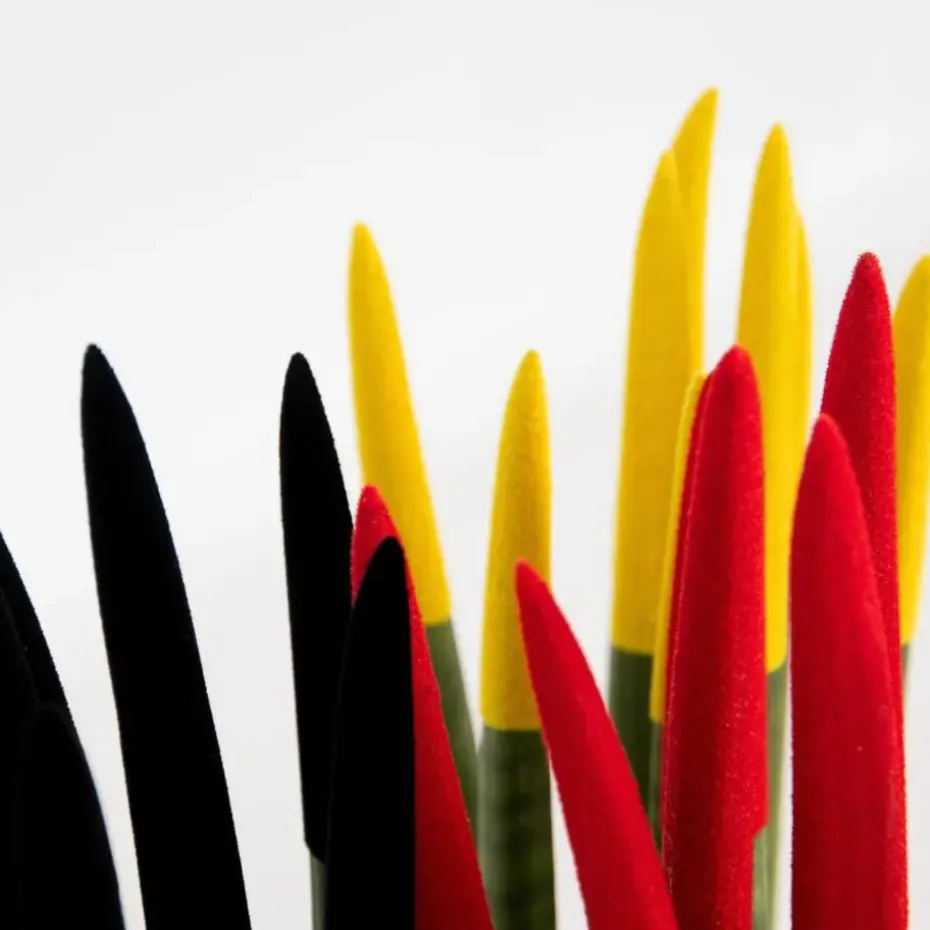 Vrouwentong - Set van 3 - Sansevieria cylindrica - Hoogte 20-40cm - ⌀9cm