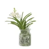 Witte Orchidee met vaas - Vanda 'White' - Hoogte 40-50cm - ⌀14cm
