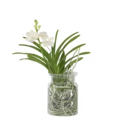 Witte Orchidee met vaas - Vanda 'White' - Hoogte 40-50cm - ⌀14cm