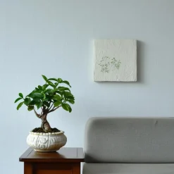 Woestijnroos - Set van 4 - Adenium obesum - Hoogte 25-40cm - ⌀10,5cm